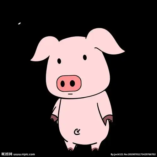 小猪图片