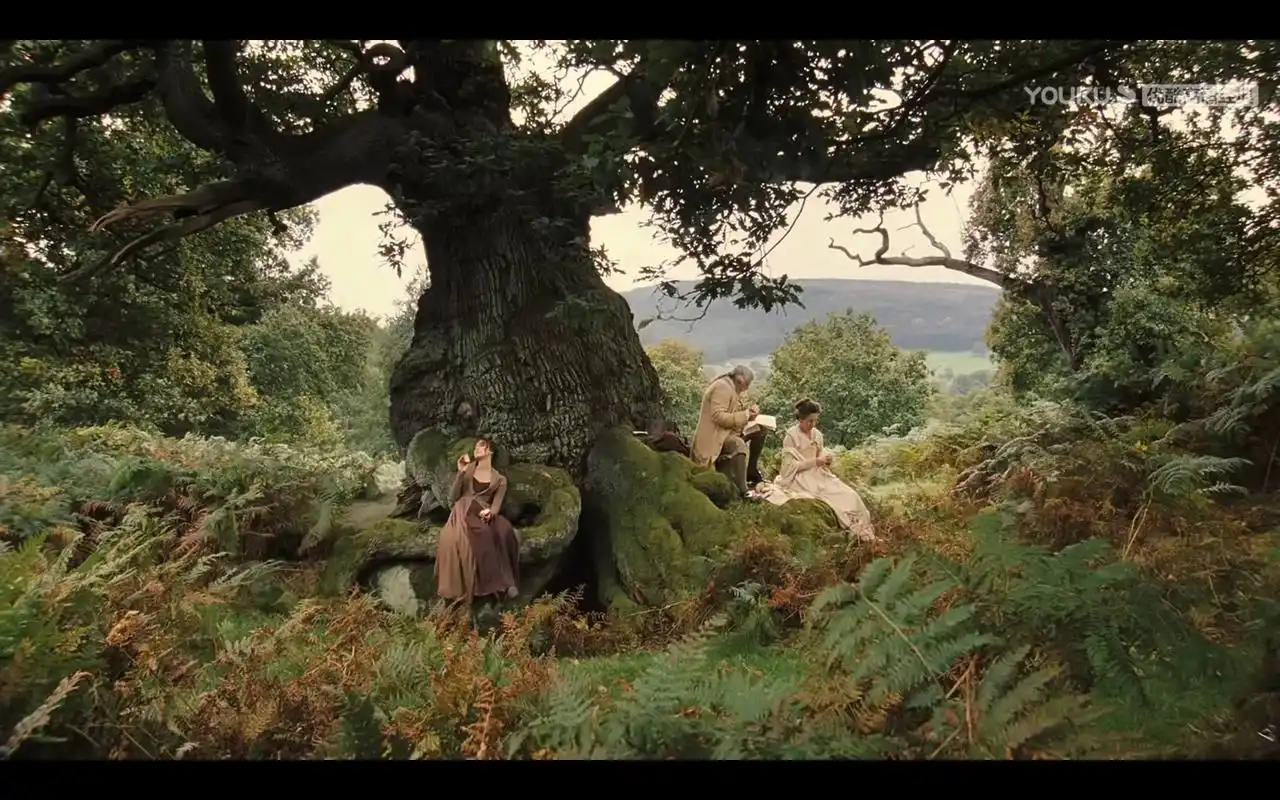 傲慢与偏见.电影虽没有书中片段精彩,删减过多,导致有些地方似 - 抖音