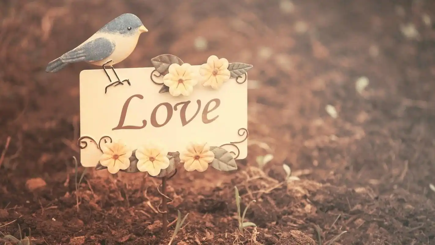 爱情唯美温馨爱情美图壁纸1