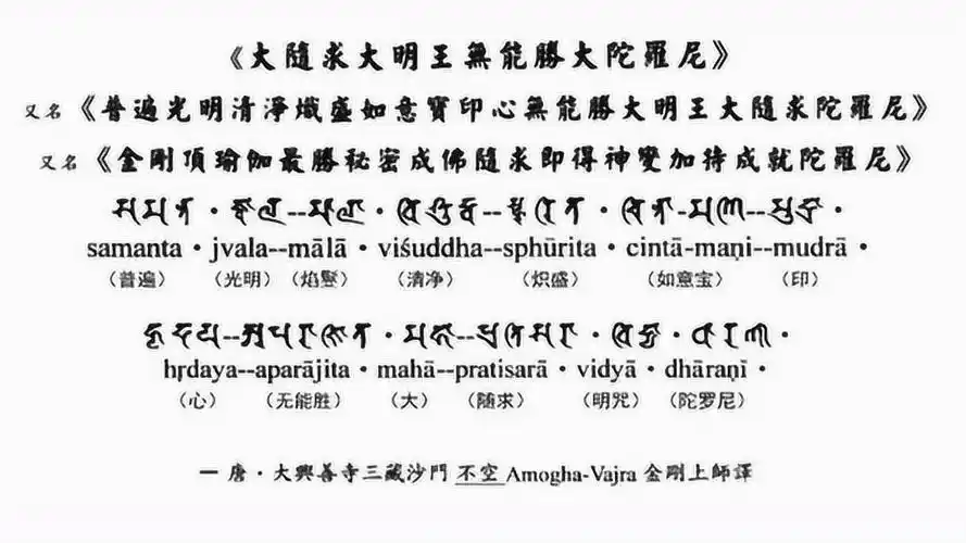 大随求咒果滨版本教学视频第一讲共21讲