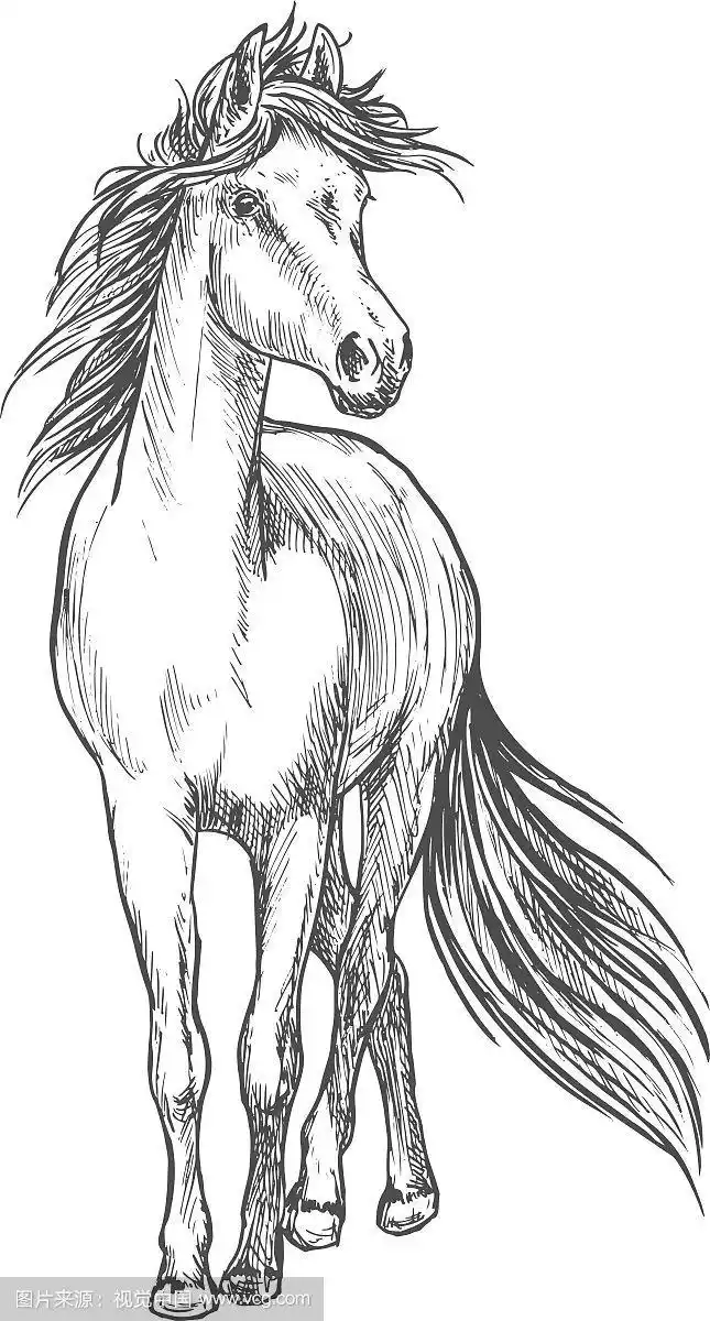 马站着挥舞鬃毛铅笔素描