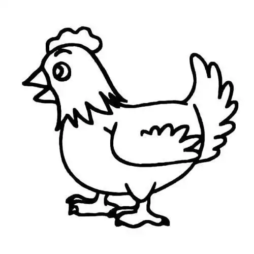 兔子简笔画动物简丛林动物图画简笔画 第6页常见动物简笔画图片绘画