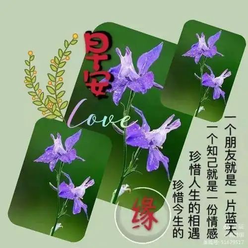 问候你一一一问候语集锦(八)