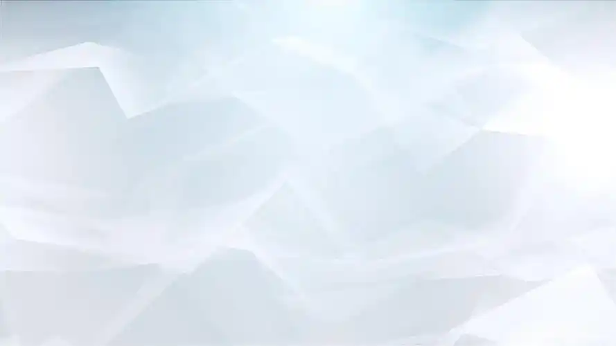 cbkc恶霸犬发展行业访谈回顾