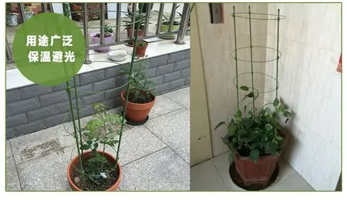 园艺花支柱文竹爬藤架子棚架杆粗细绿铁线植物攀爬支架金钱树阳台