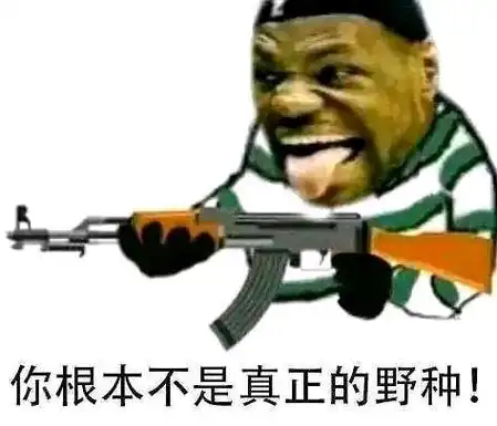 可以这很野种是什么意思这很野种nba吧可以这很野种是什么梗