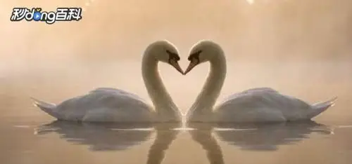 幸福就是相依相伴