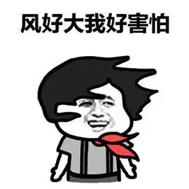 风好大我好冷小男孩头发乱了风吹可爱gif动图_动态图_表情包下载_soo