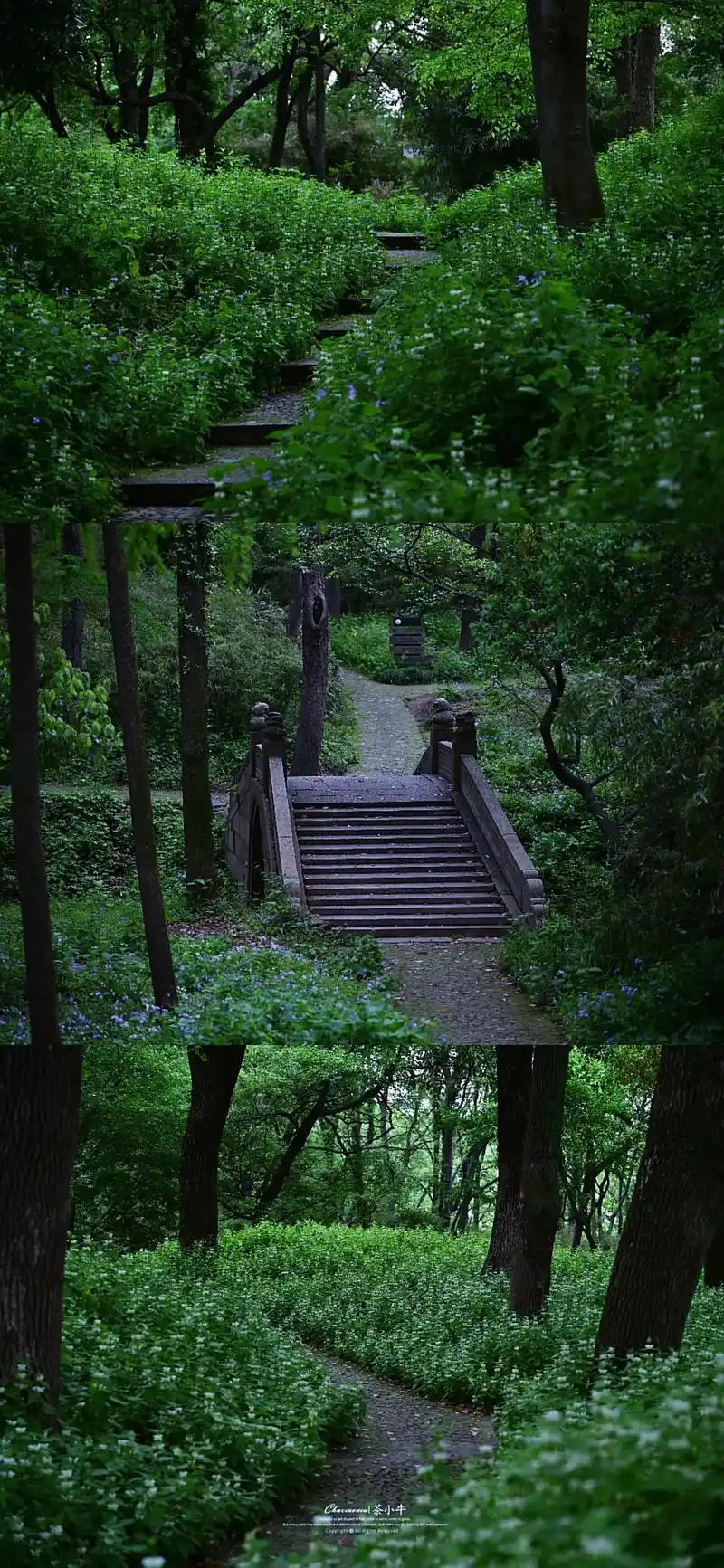 苏州虎丘山风景区|现实世界里的绿野仙踪