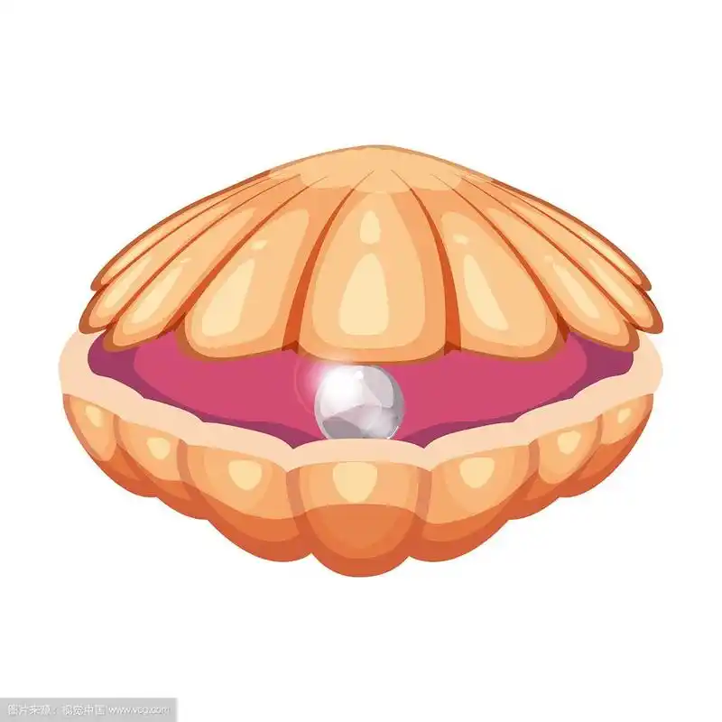 可爱明亮的卡通贝壳图标彩色的贝壳