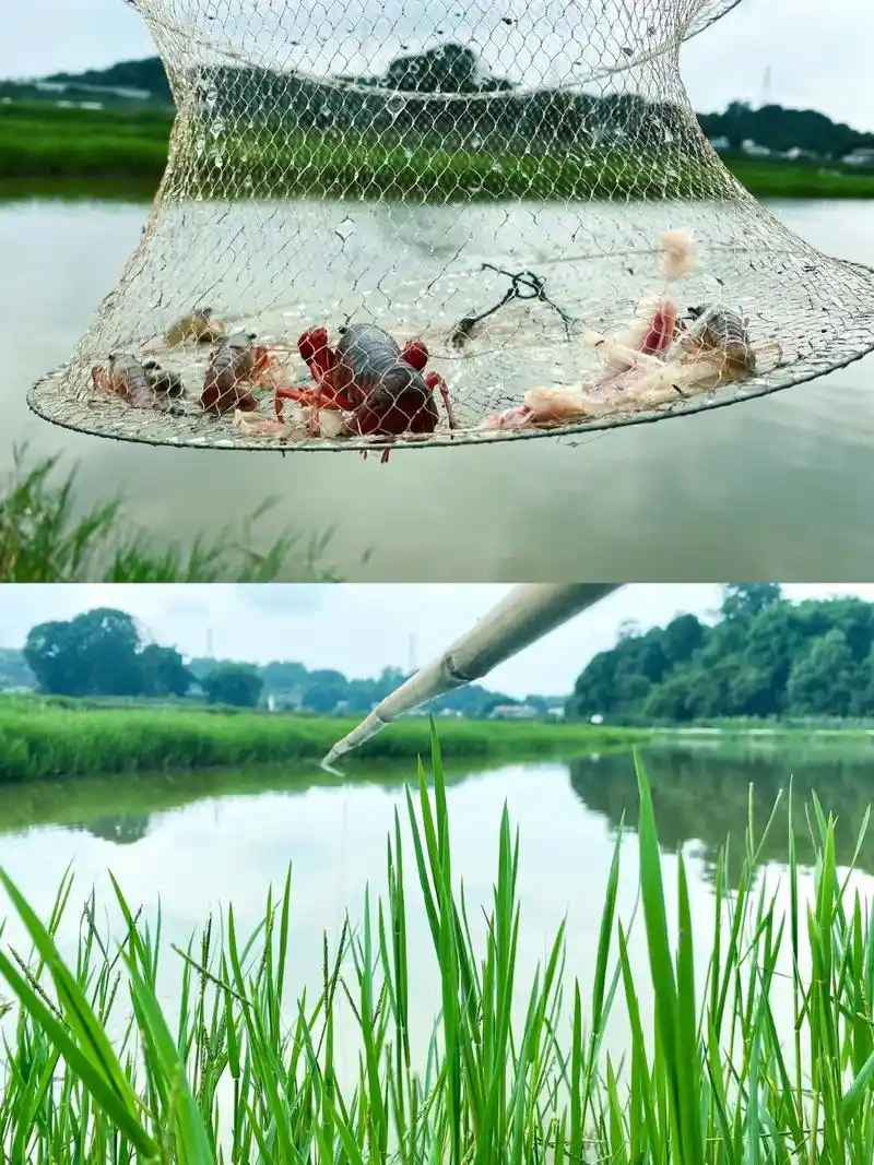 钓小龙虾好去处.