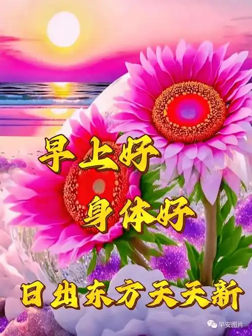 今日最新早上好表情图片大全,送上深深的祝福:开心快乐_问候_有缘人