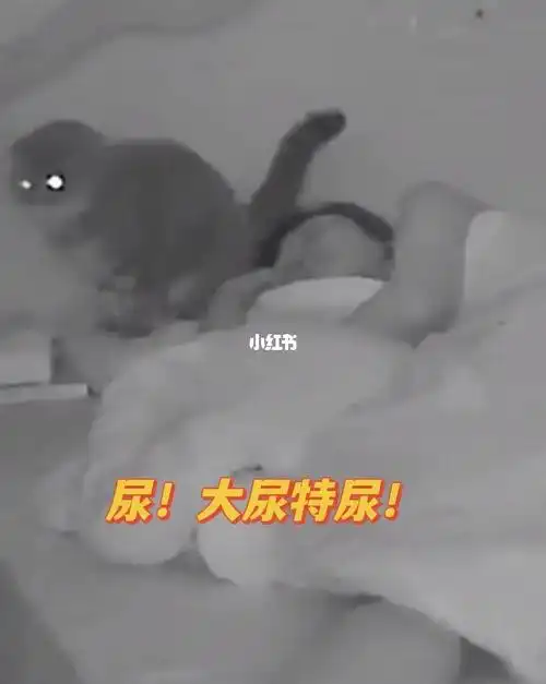 我耳边突然凉凉的 头发湿湿的 味道骚骚的 起来一看 枕头上好大一泡尿