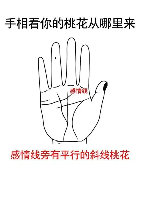 感情线旁有平行的斜线桃花 有这种手相的人容易发生不期而遇的恋情