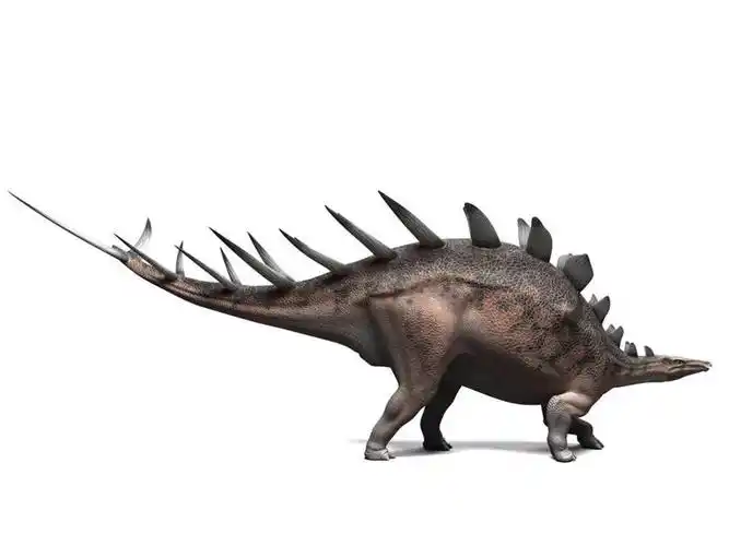 恐龙,观看,电脑合成图,数码合成图,察看,合成图,关注,凶猛,漫画,剑龙