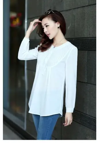 韩版潮流宽松上衣 飘逸长袖雪纺衫 超时尚气质女装 2013新款秋装-女式