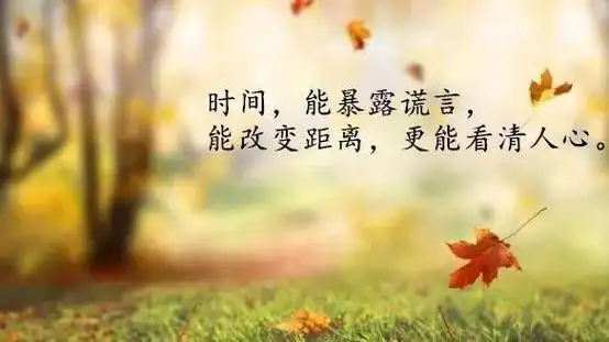 看透人生感悟句子经典