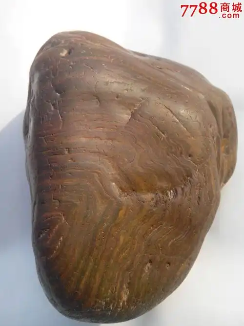 天然七彩木纹石