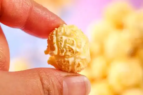 手里拿着一颗爆米花