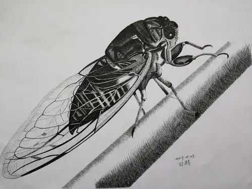 知了!是我最得意的作品,也是亲朋好友齐口称赞的一幅作品