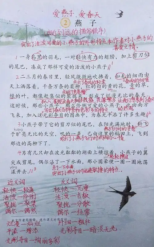 三年级语文下册:2.《燕子》课堂笔记(详细) 写法宝典