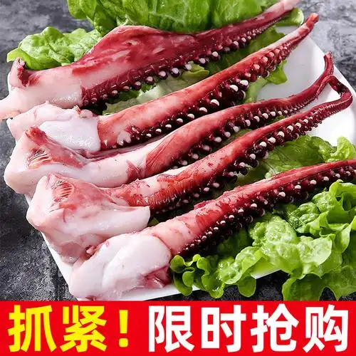 章鱼鱿鱼须脆口冷冻超大海鲜水产新鲜八爪鱼3斤冷冻鱿鱼