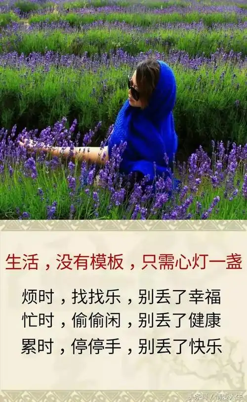 没人鼓掌,也要飞翔;没人欣赏,也要芬芳;没人心疼,也要坚强!