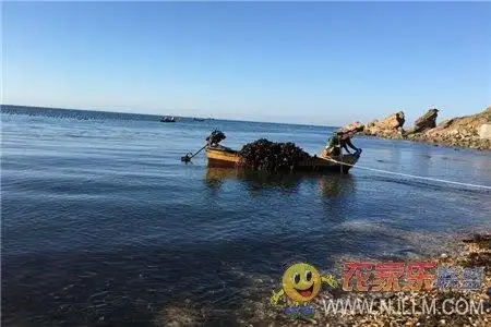 南隍城顾家渔舍-南隍城岛旅游_南隍城岛住宿_南隍城岛渔家乐