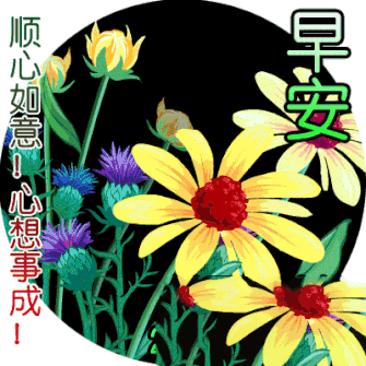 星期五清晨早上好动态图片带字鲜花,最美丽的早上好图片闪动表情
