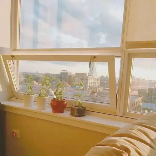 朋友圈背景图|香槟色|神仙|唯美