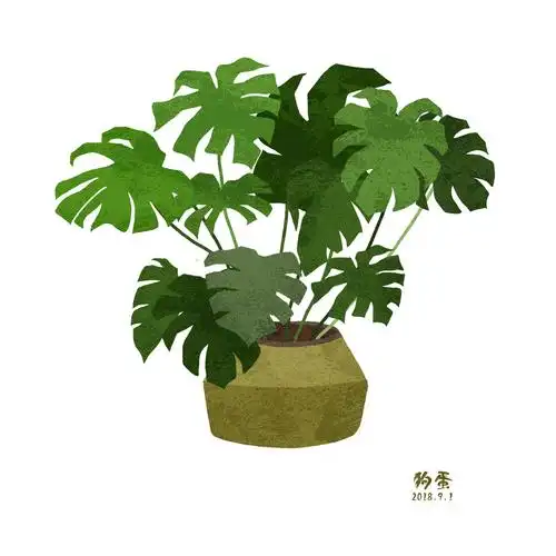 盆栽|插画|商业插画|惆句 - 原创作品 - 站酷 (zcool)