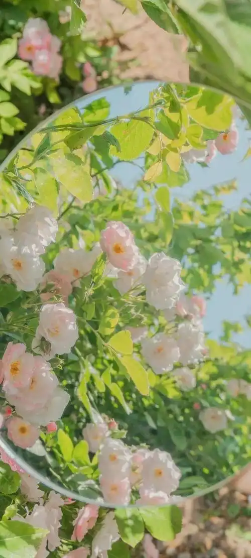 12壁纸 | 绝美的一组小清新壁纸,是心动的感觉|抖音_网易订阅