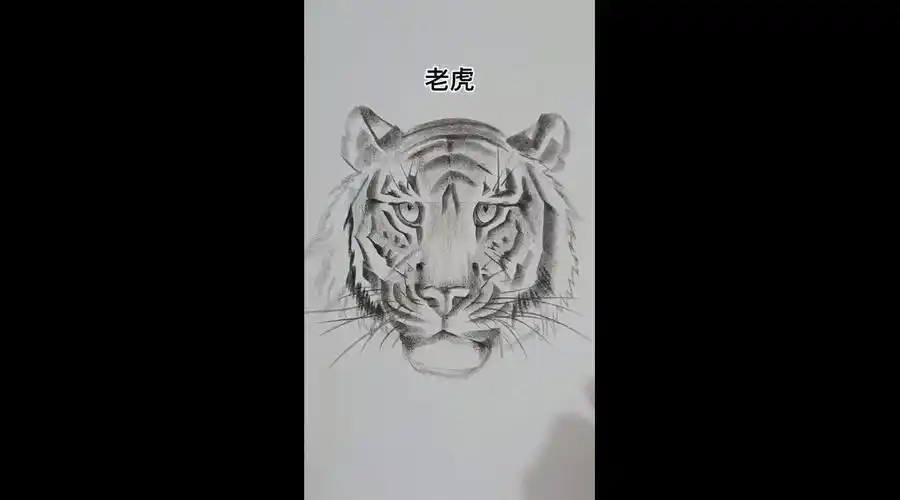 铅笔画虎,简单有趣的画法!