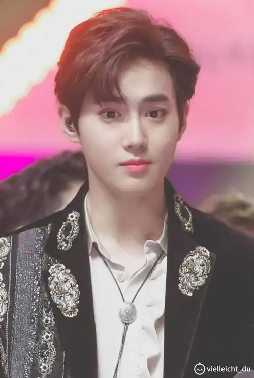 exo suho 金俊勉