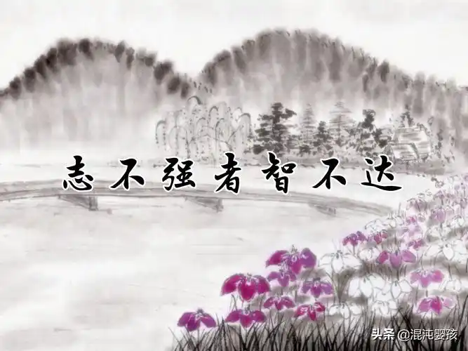 关于强者的名言警句