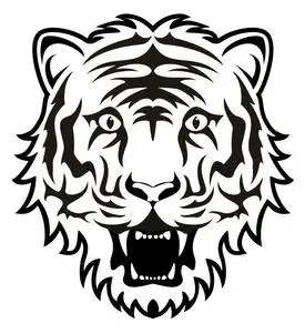 虎头黑白抽象图形设计矢量程式化脸上的愤怒的老虎矢量浪漫插画与