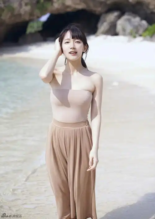 日本女星沙滩性感写真薄纱遮身若隐若现