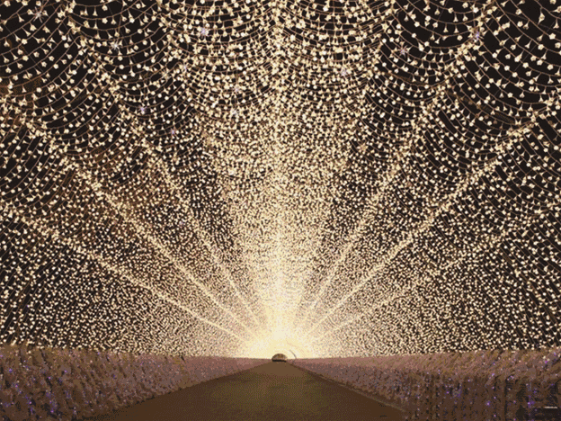 首届大型灯光旅游节庄心妍大壮等明星前来助阵