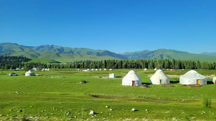 安装元气桌面,海量壁纸一键设置尺寸:4032x2268体积:2.