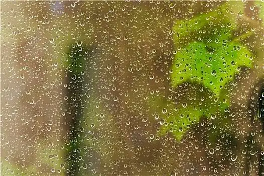 雨天果园图片_雨天果园图片大全_雨天果园背景图片