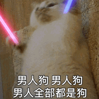 抖音猫拿荧光棒动态表情包大全 猫挥舞荧光棒gif表情包可爱