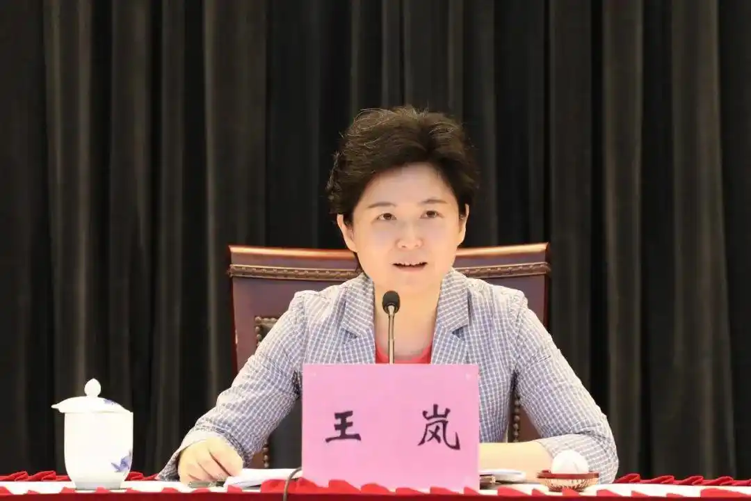 弘扬伟大建党精神打造坚强战斗堡垒区委书记王岚为全区居民区书记主任