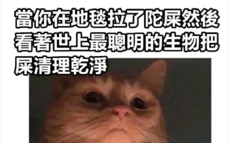 "网络上的那些爆笑沙雕梗图"#10