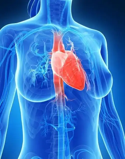 女生心脏突然"刺痛"一下,身体到底是怎么了?医生告诉你真相|疼痛感|症