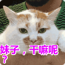 表情包动态gif表情图片 - 找表情上表情家