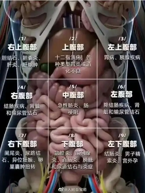 来自人间百宝箱