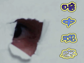 方大厨花间提壶暗中观察gif动图_动态图_表情包下载_soogif