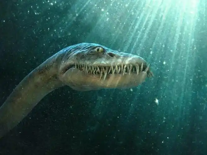 泳龙|海怪|白垩纪_新浪新闻