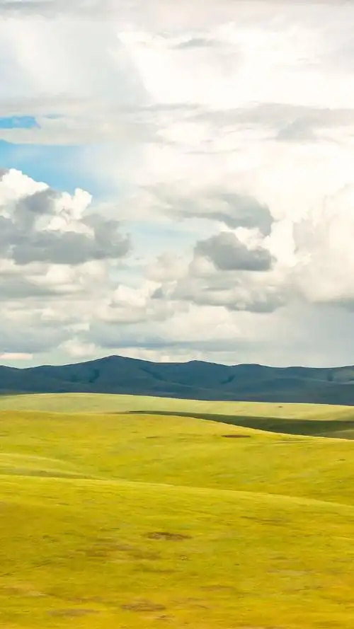 绿色草原风景图片手机壁纸