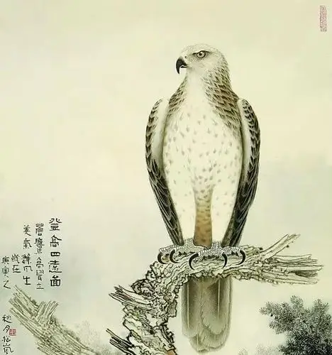 工笔画《鹰》欣赏